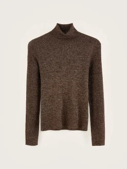 Truien|Bellerose Anoit Coltrui Chestnut