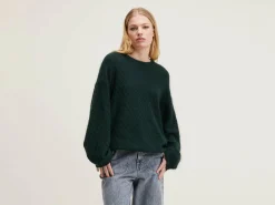 Truien|Bellerose Dionie Ronde Hals Trui Bottle