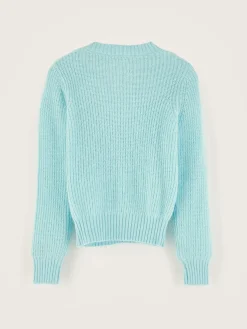 Truien|Bellerose Diot Ronde Hals Trui Glacier