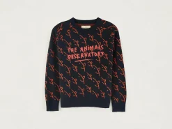 Truien|Bellerose Gorfou Ronde Hals Trui