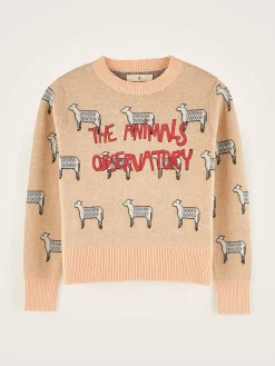 Truien|Bellerose Grebe Ronde Hals Trui