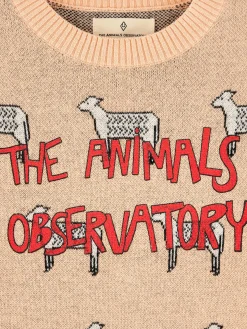 Truien|Bellerose Grebe Ronde Hals Trui