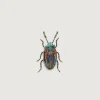 Bekijk Alles|Juwelen|Trovelore Snowdon Beetle Broche